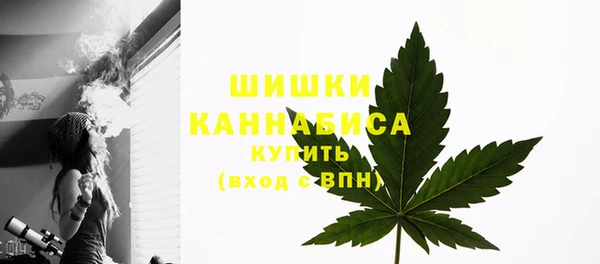 ГАЛЛЮЦИНОГЕННЫЕ ГРИБЫ Балабаново