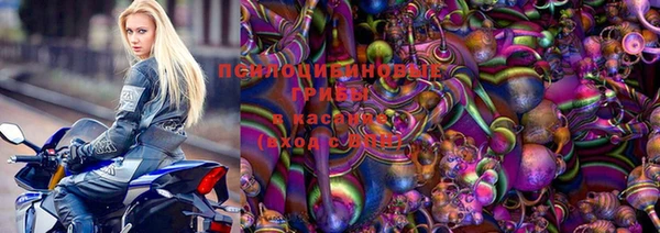 ГАЛЛЮЦИНОГЕННЫЕ ГРИБЫ Балабаново