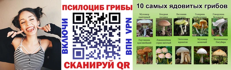 KRAKEN ССЫЛКА  Краснозаводск  Галлюциногенные грибы Magic Shrooms 